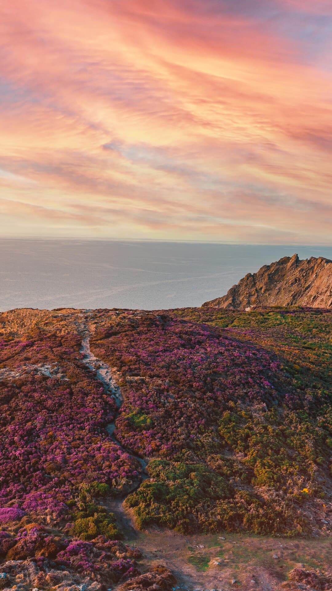 Aesthetic Wallpaper #1868