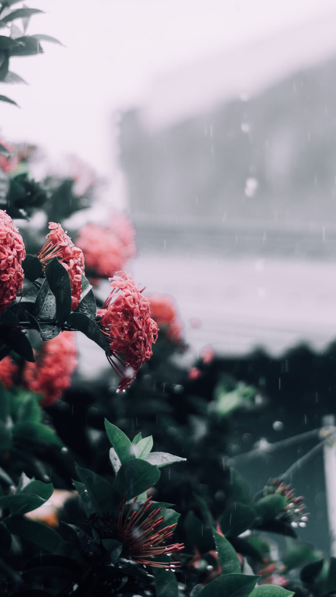 Aesthetic Wallpaper #3618