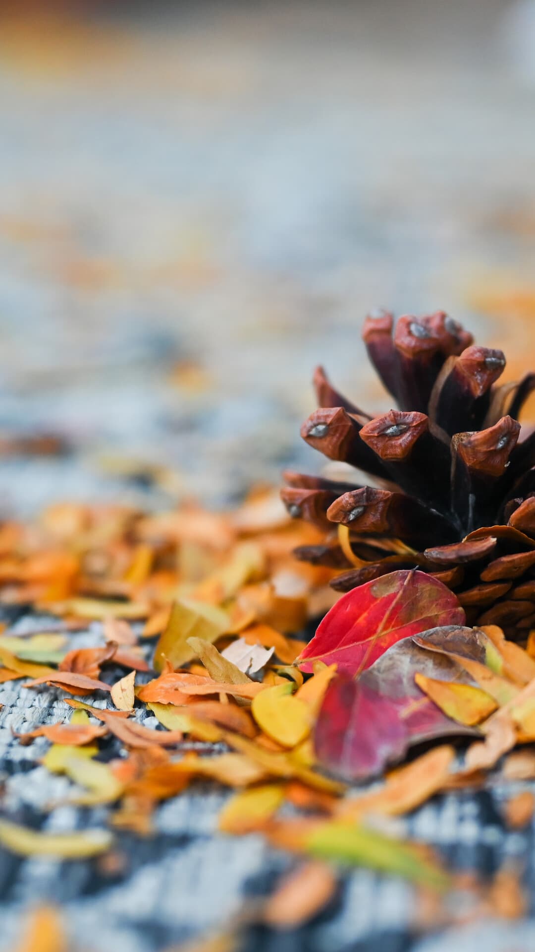 Aesthetic Wallpaper #5423