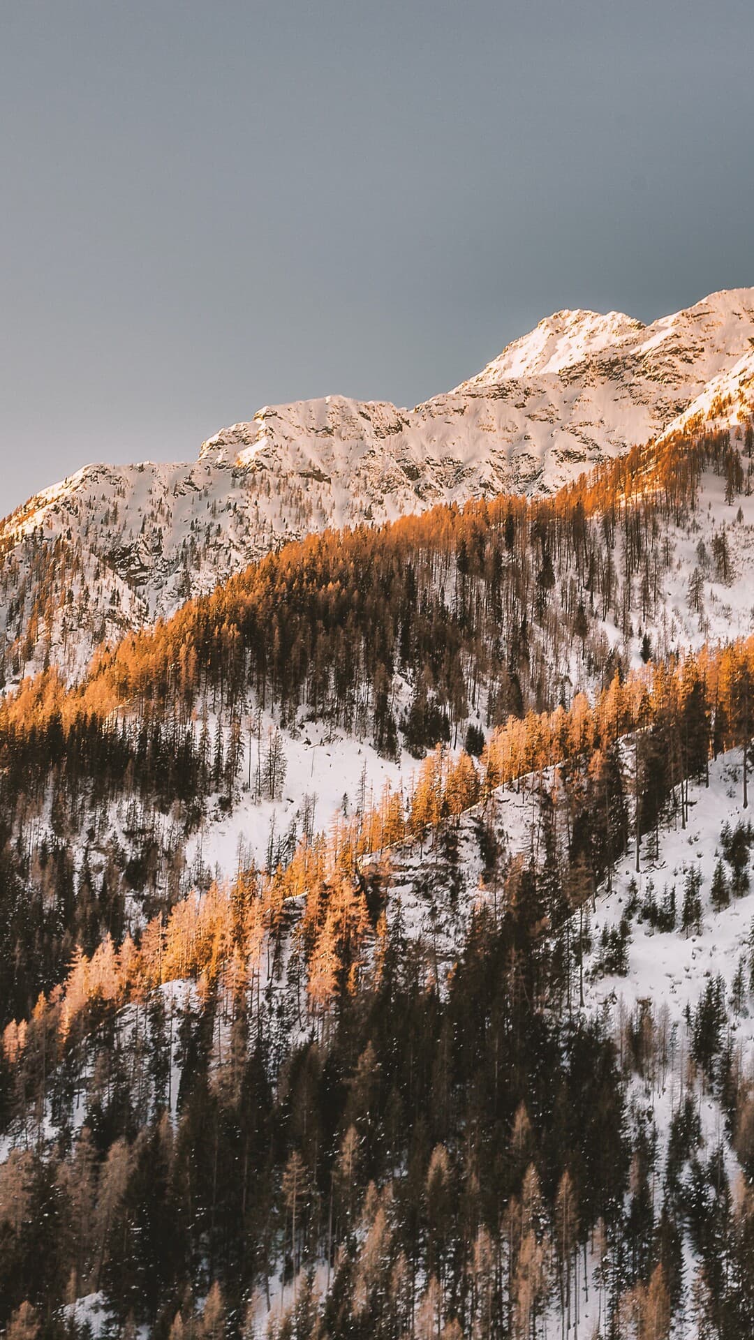 Aesthetic Wallpaper #4605