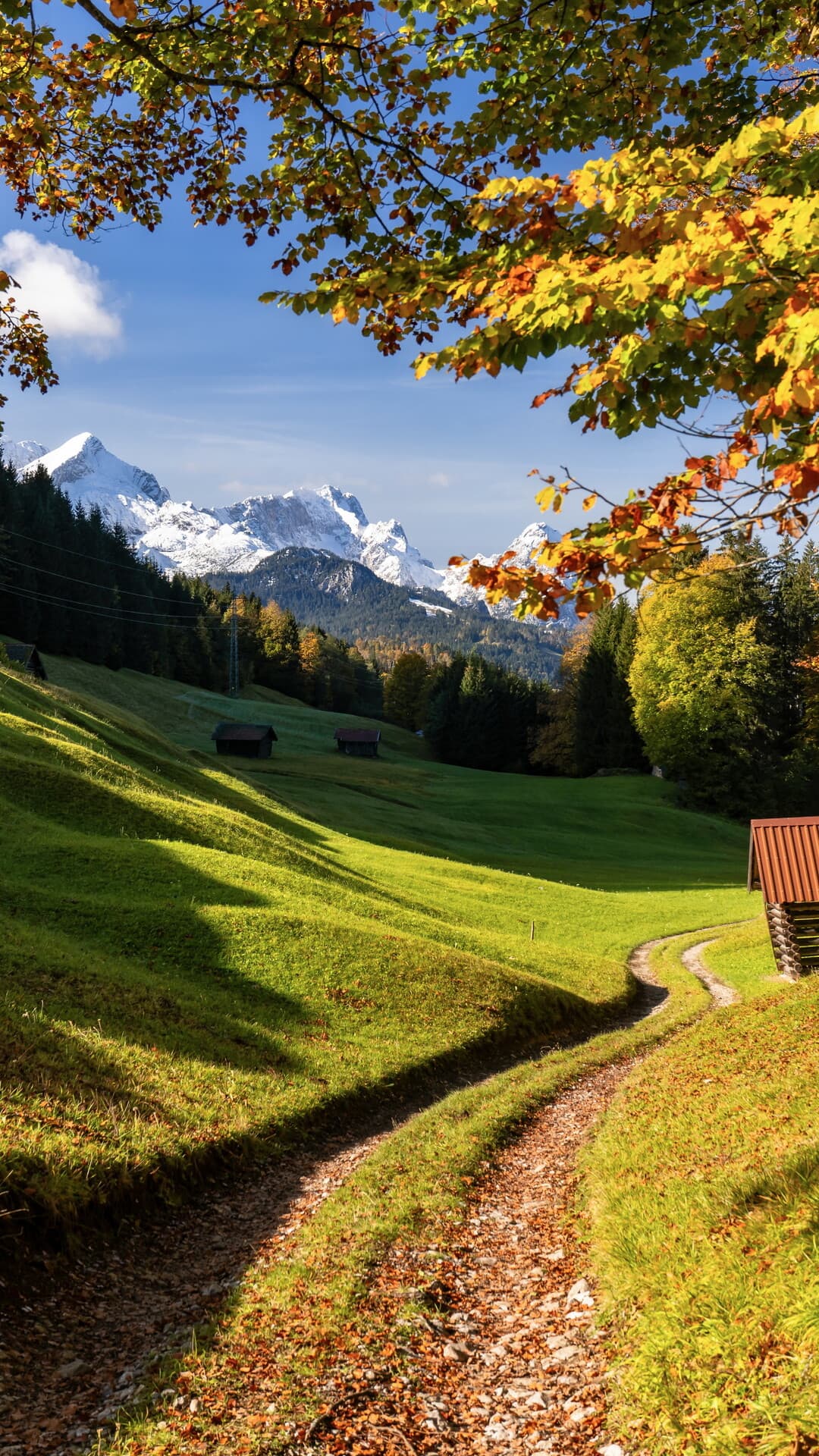 Aesthetic Wallpaper #2530