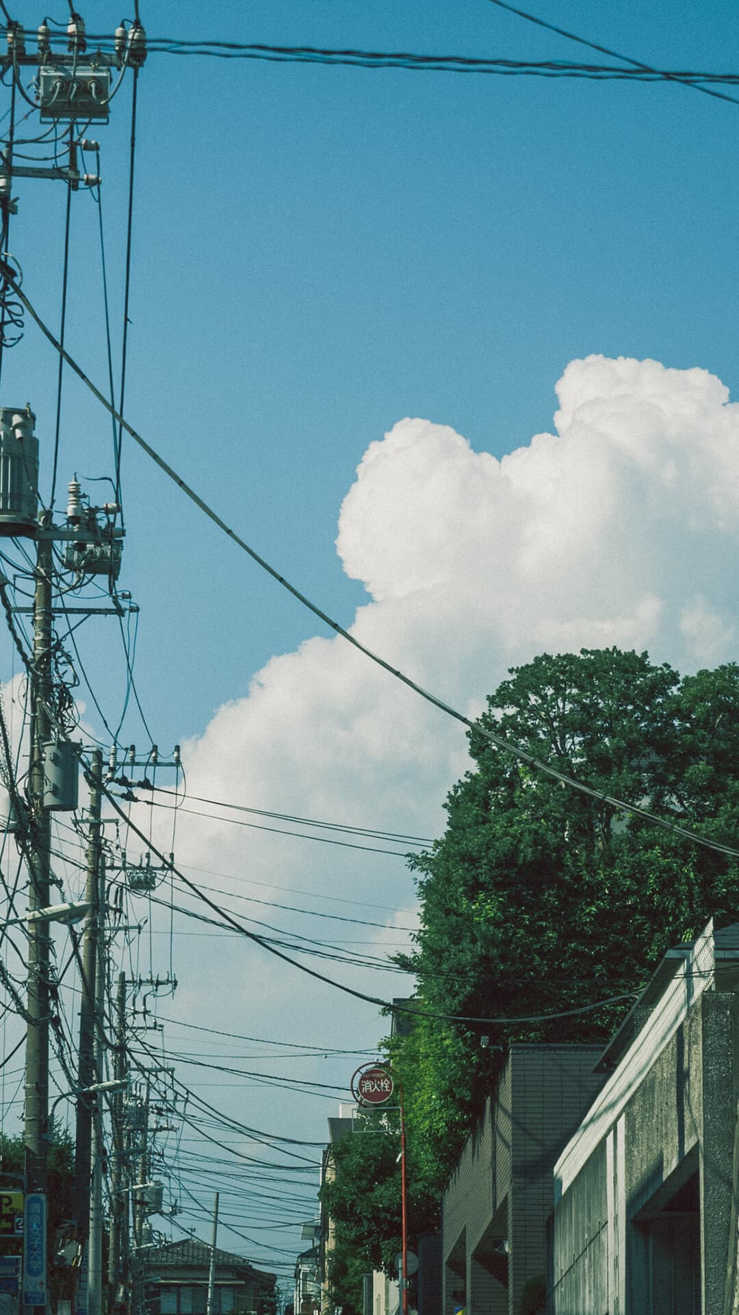 Aesthetic Wallpaper #3007