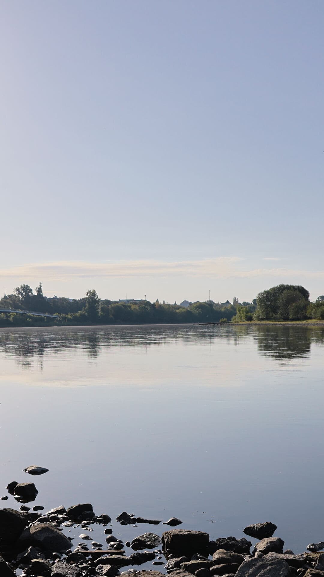 Aesthetic Wallpaper #3029