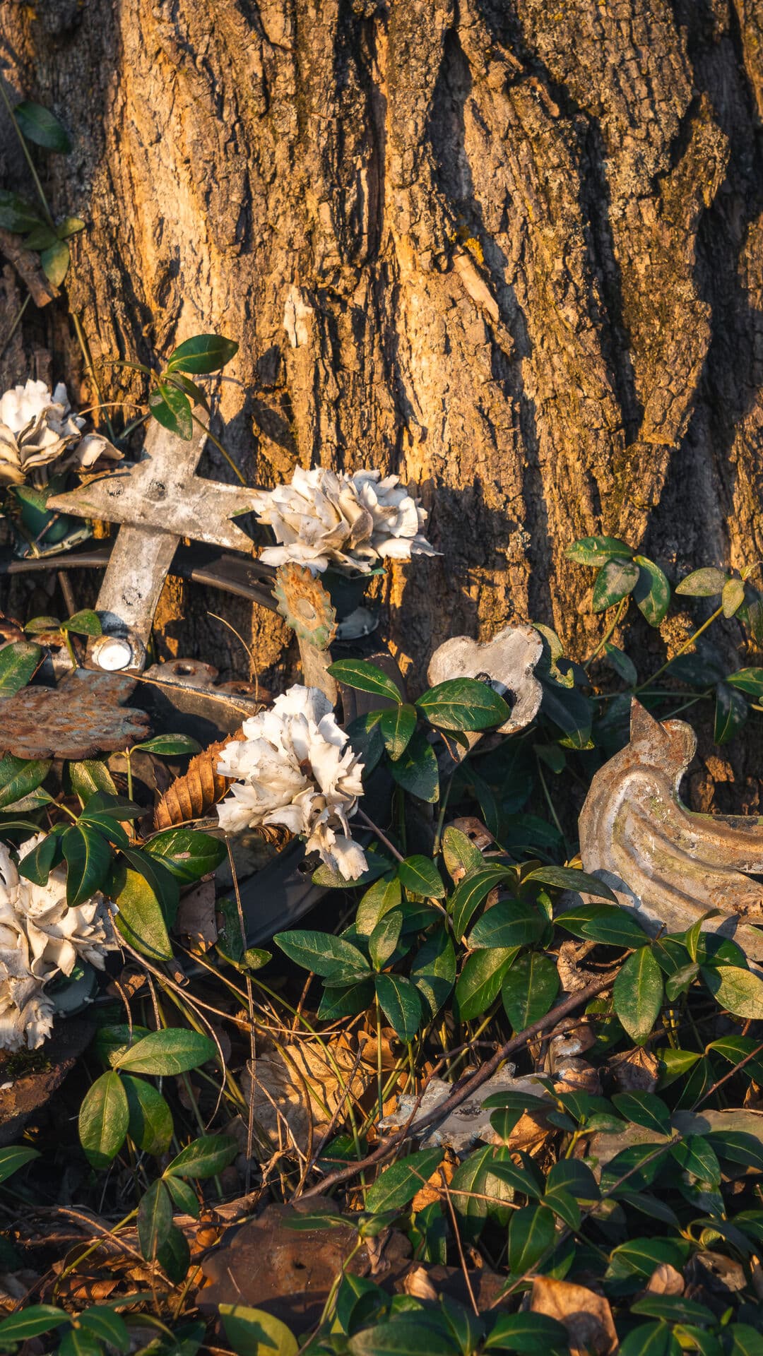 Aesthetic Wallpaper #4377