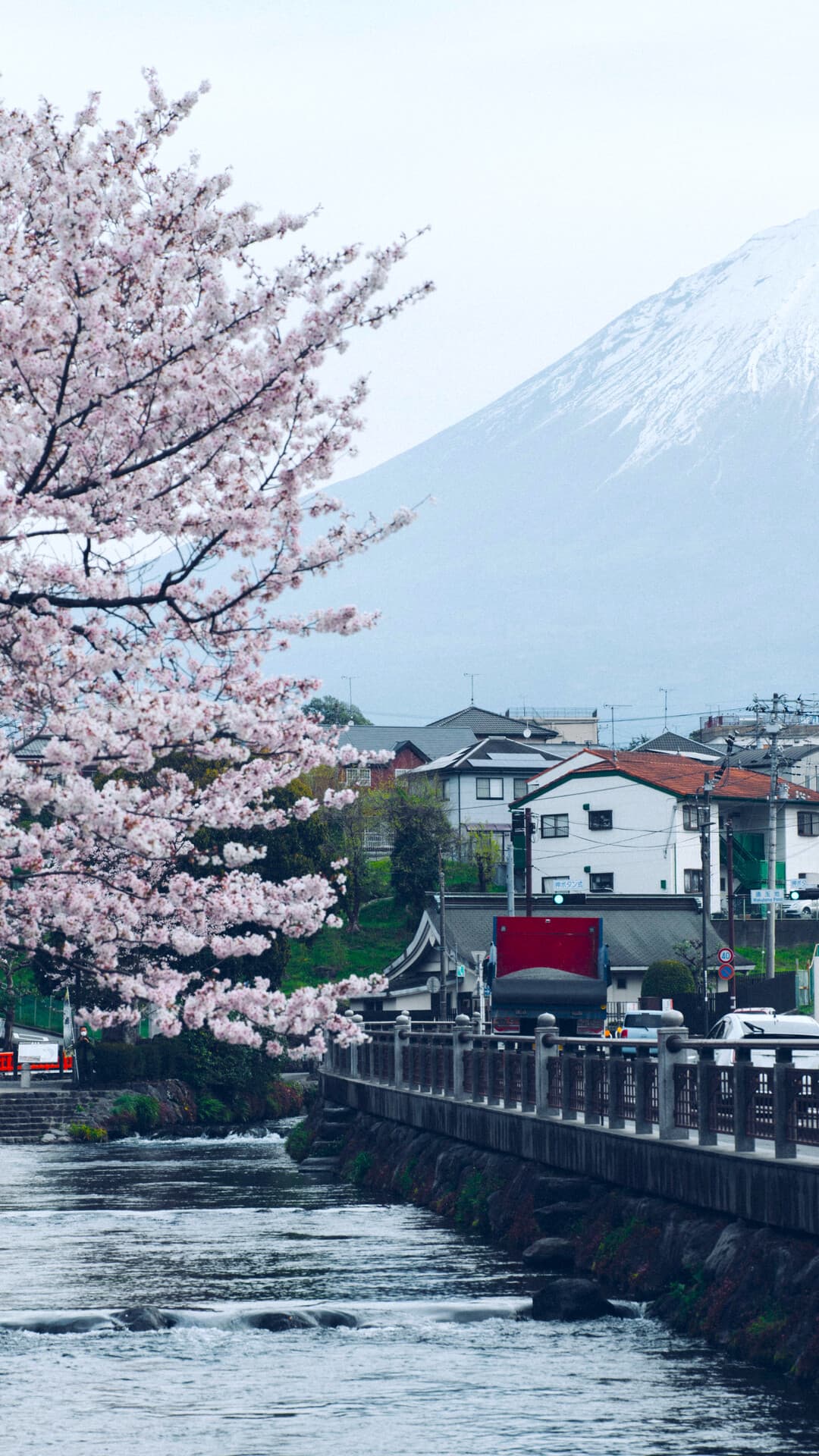 Aesthetic Wallpaper #697