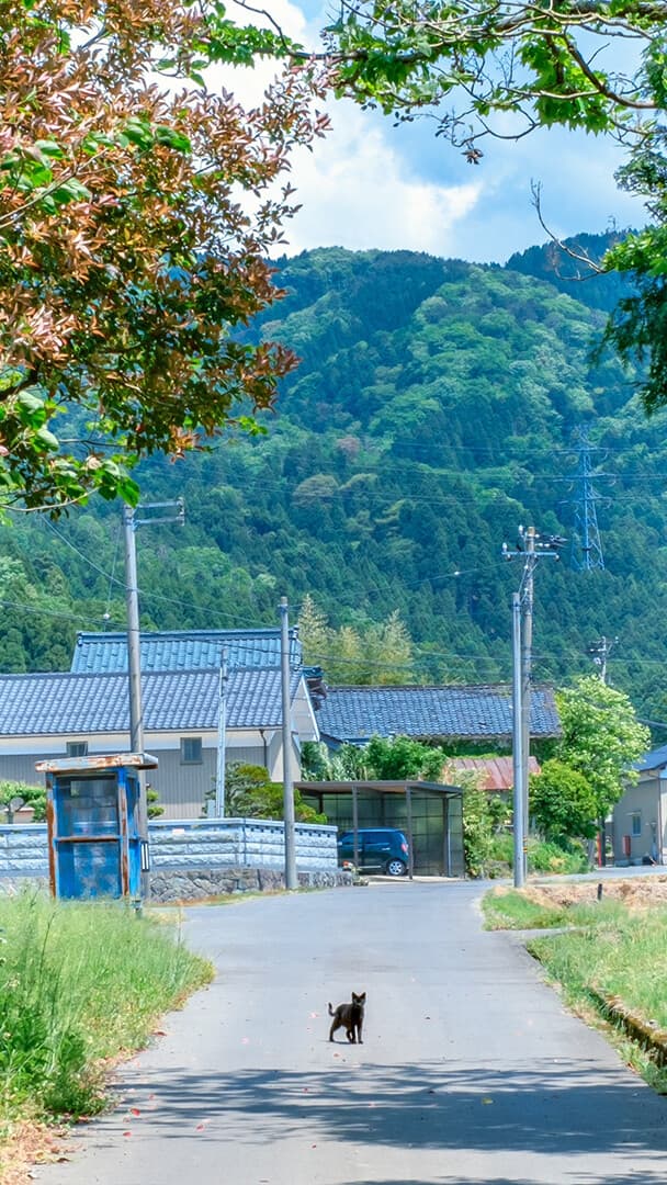 Aesthetic Wallpaper #5177