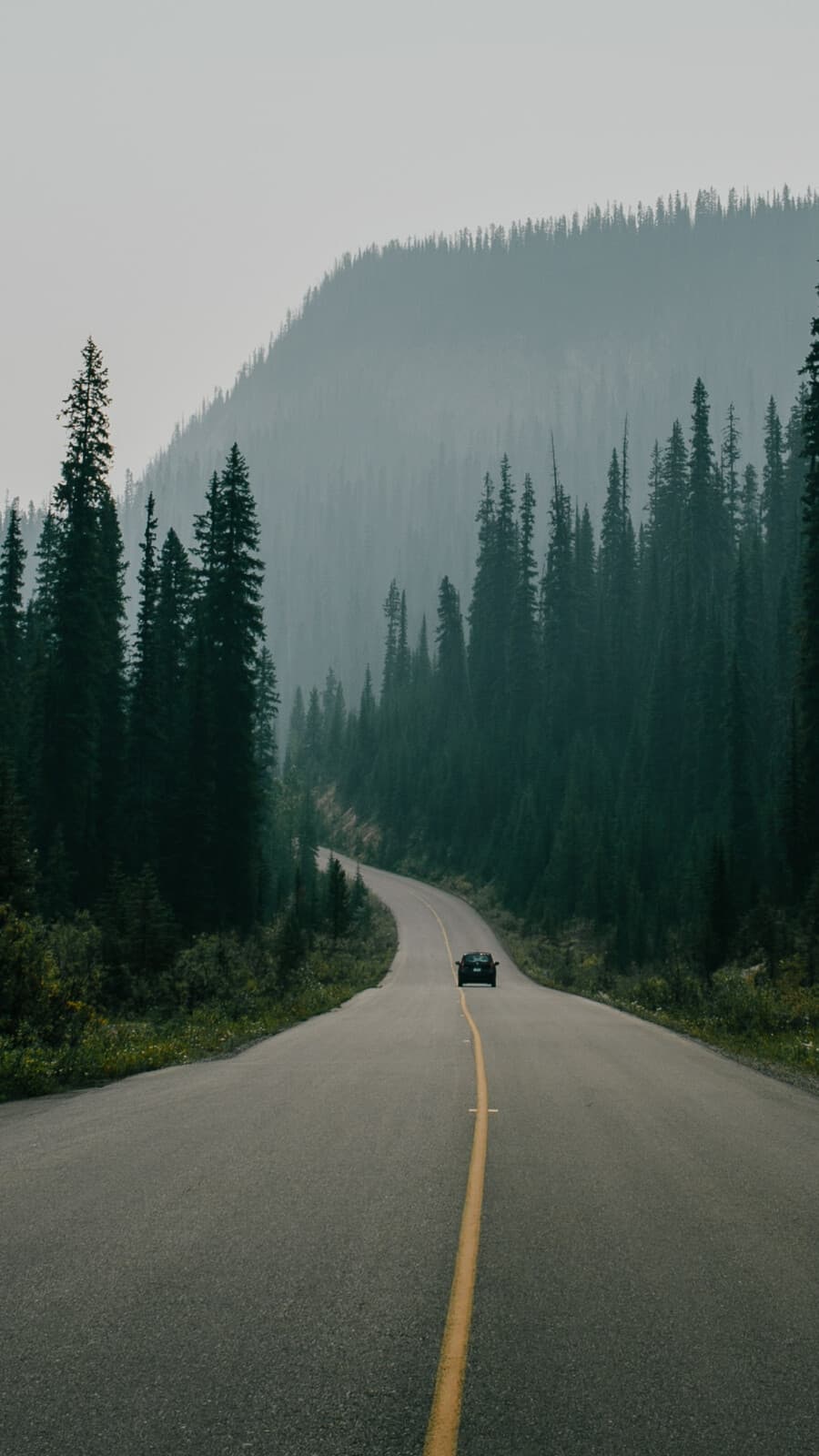 Aesthetic Wallpaper #2593