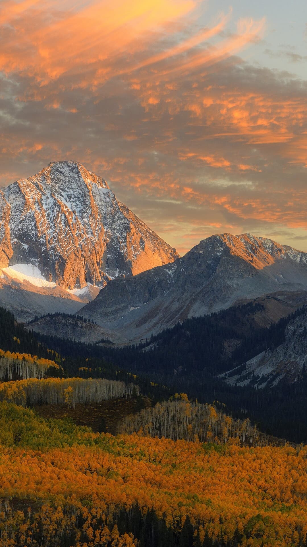 Aesthetic Wallpaper #2624