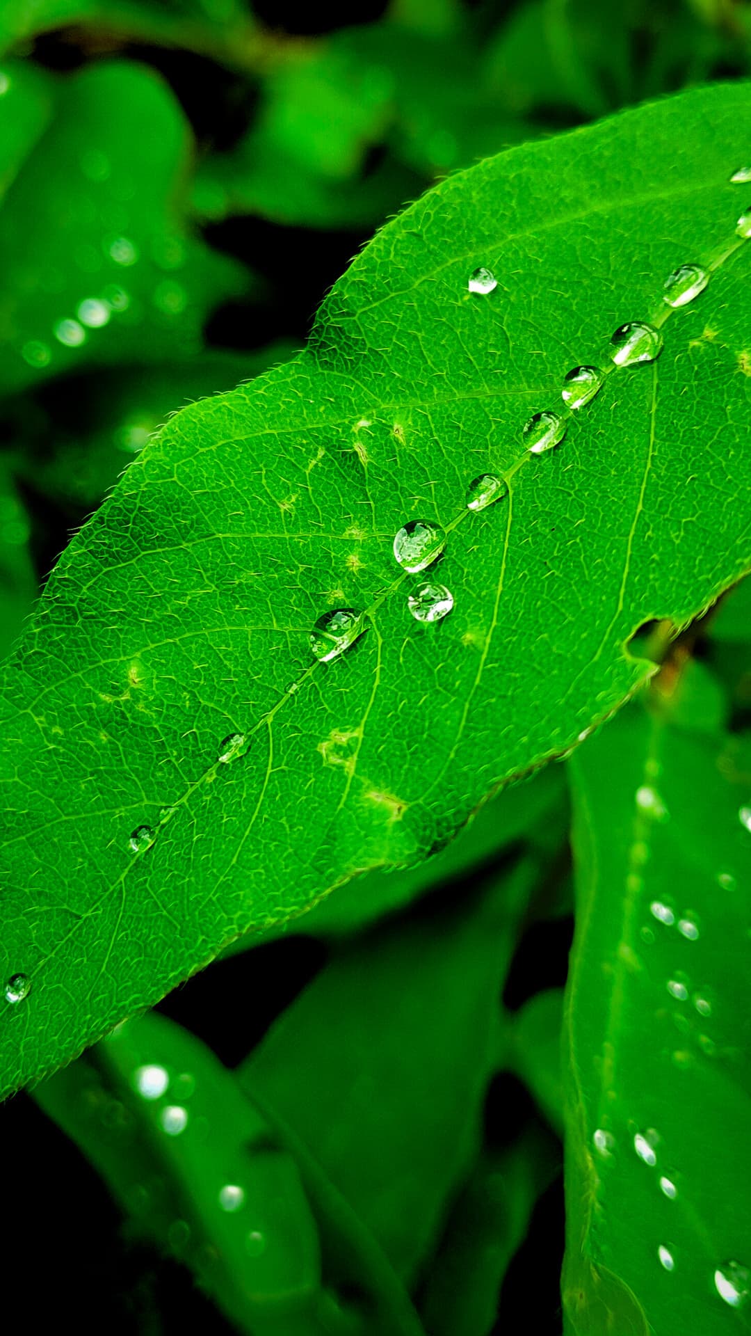 Aesthetic Wallpaper #3580