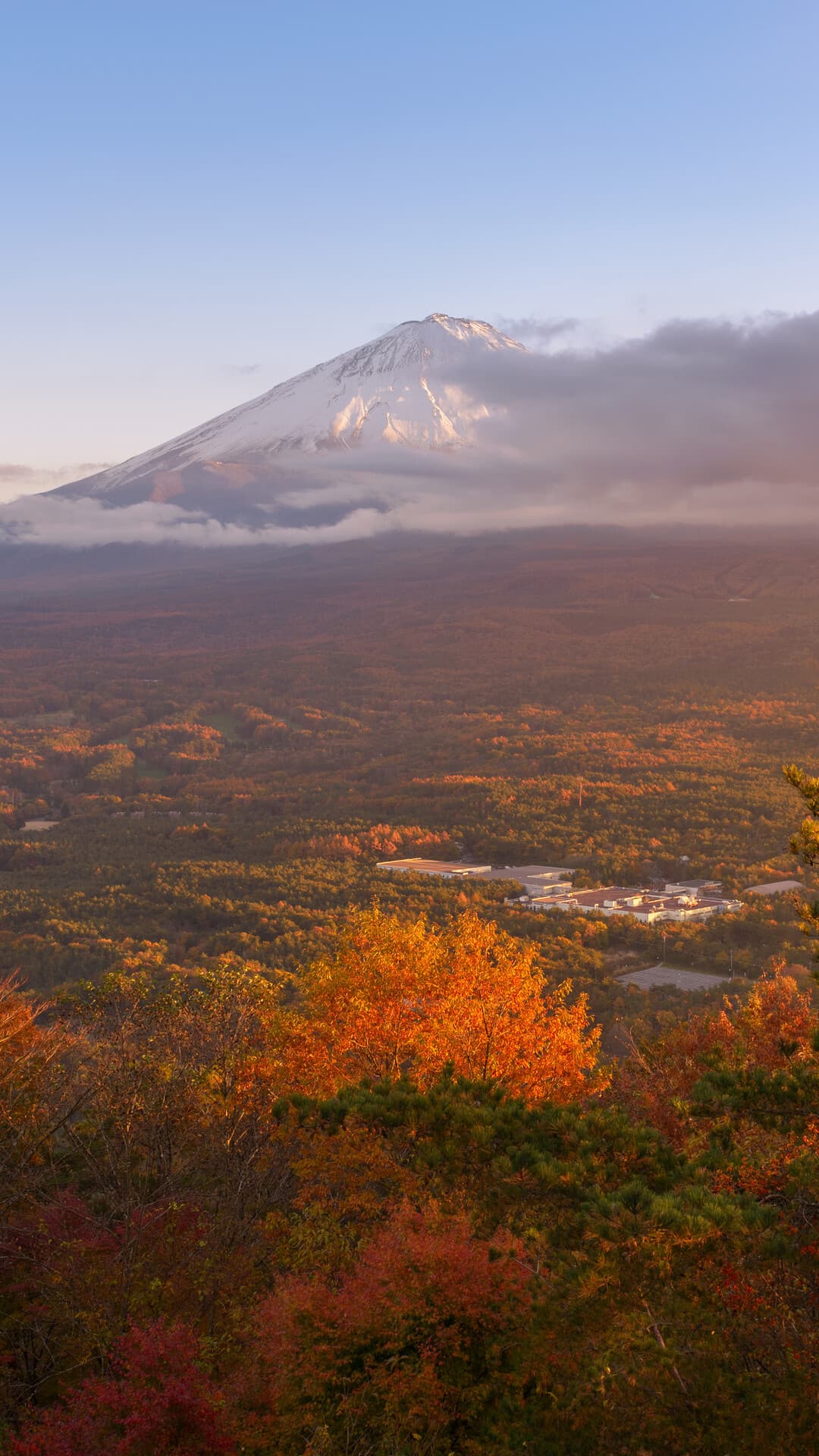 Aesthetic Wallpaper #5095