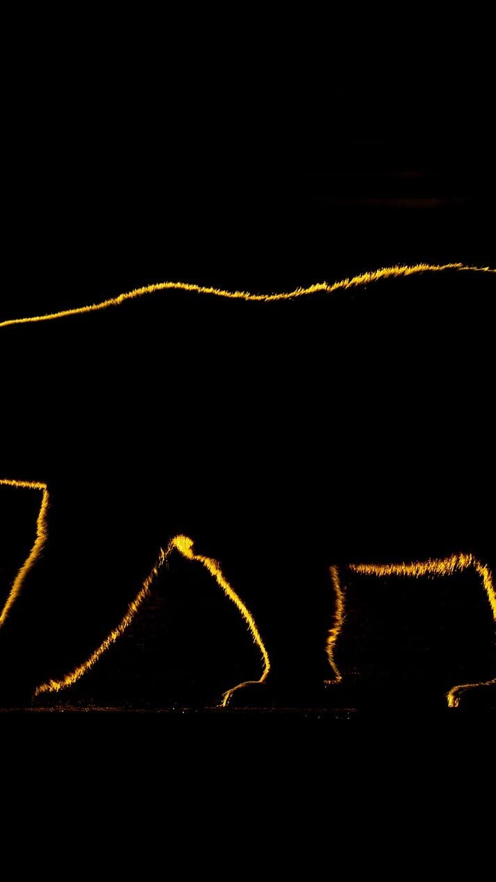 Aesthetic Wallpaper #2810