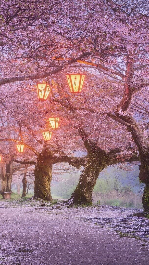 Aesthetic Wallpaper #1688