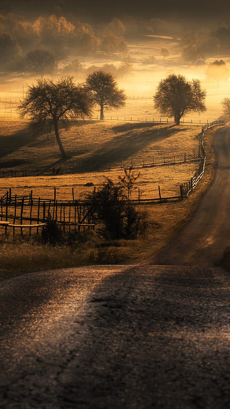 Aesthetic Wallpaper #1177