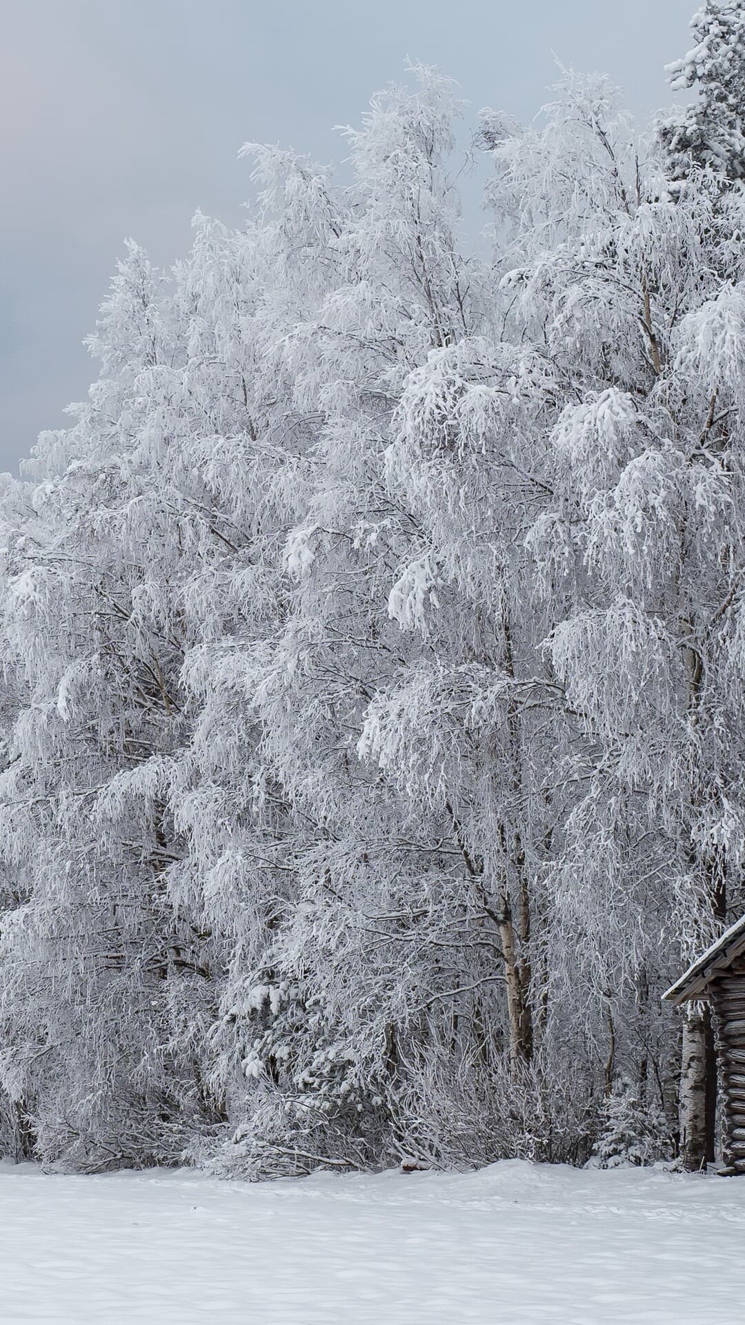 Aesthetic Wallpaper #3407