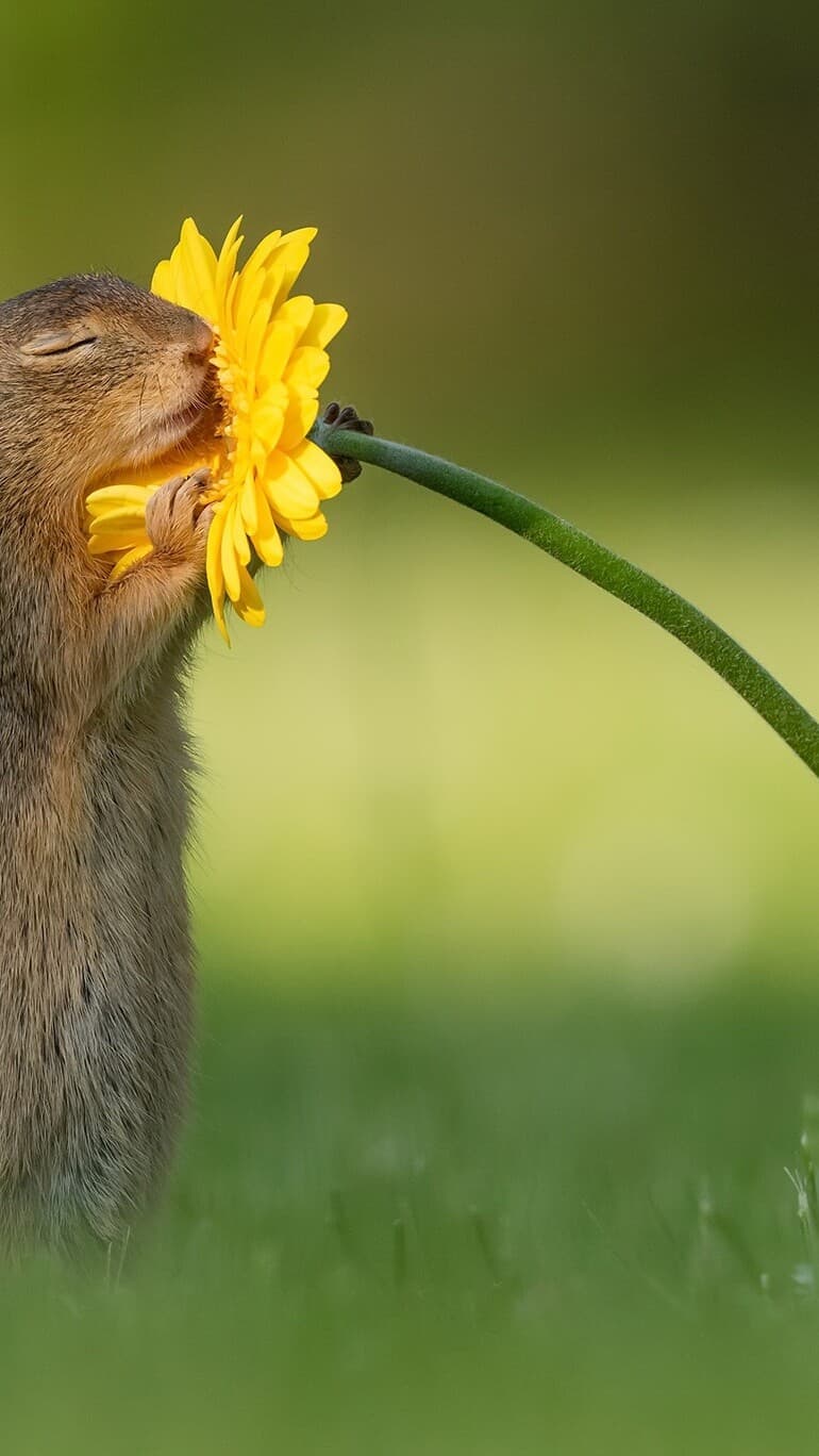 Aesthetic Wallpaper #3651