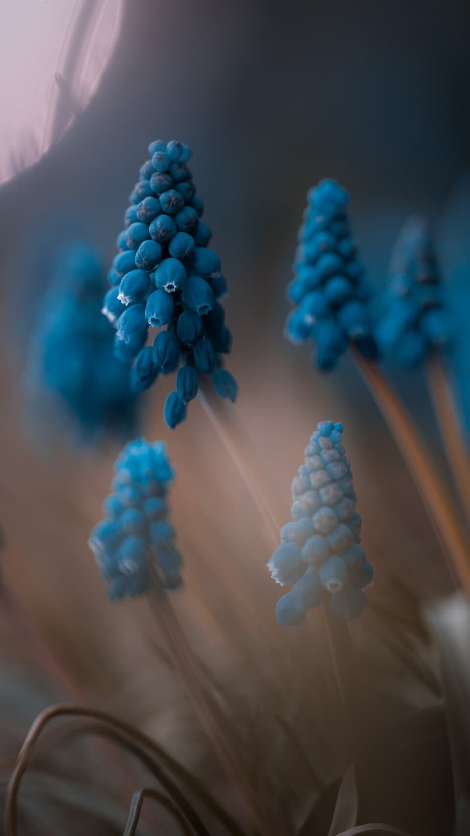 Aesthetic Wallpaper #1284