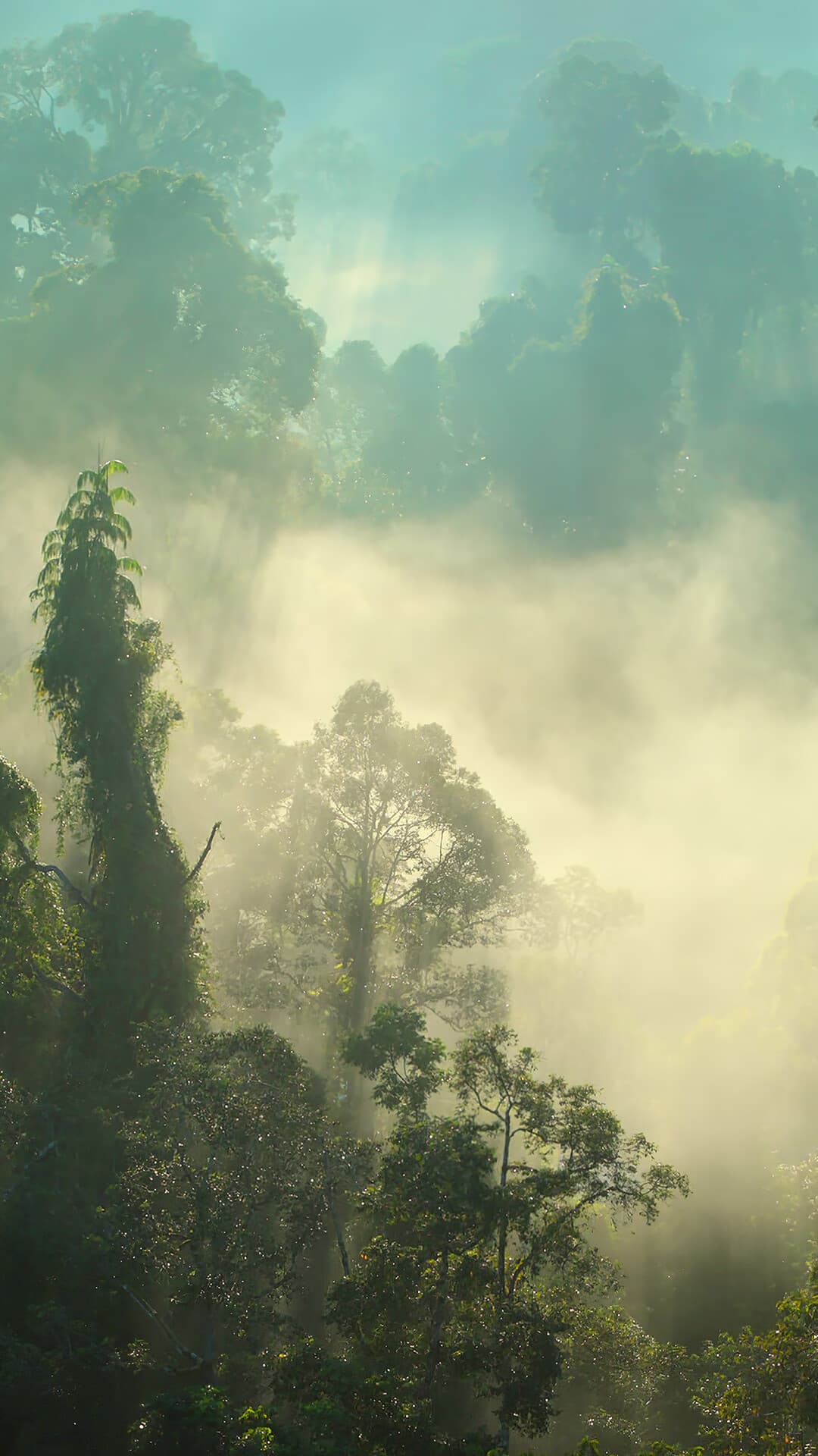 Aesthetic Wallpaper #3585