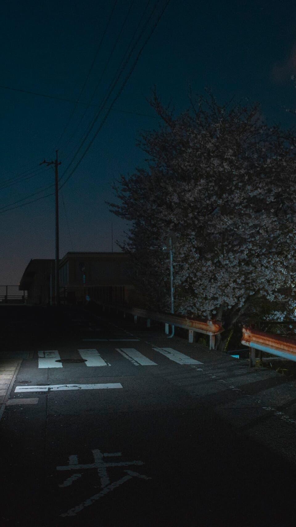 Aesthetic Wallpaper #4841