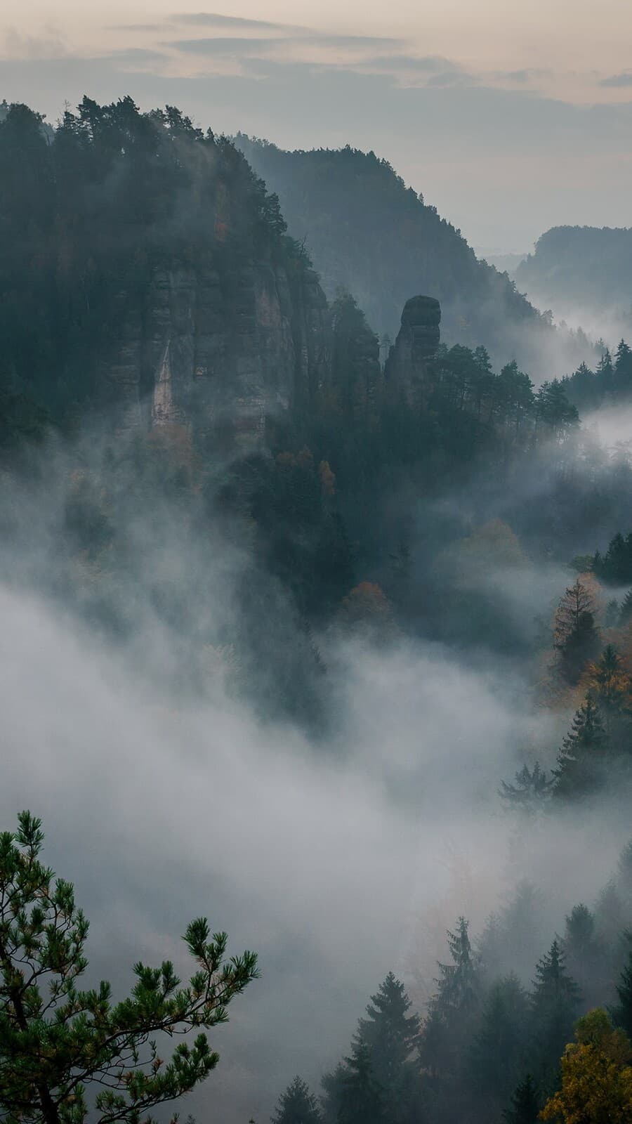 Aesthetic Wallpaper #1747