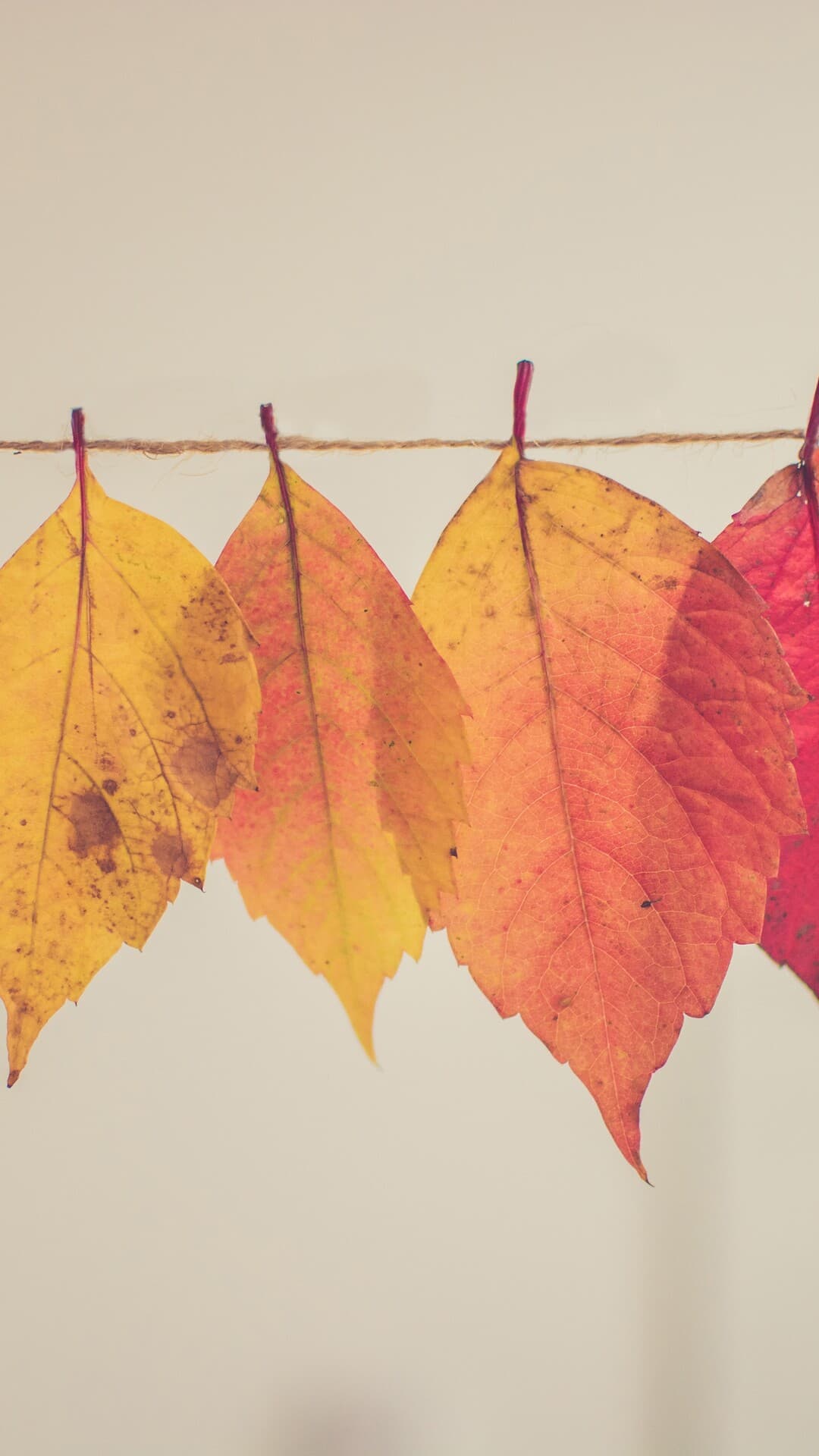 Aesthetic Wallpaper #54