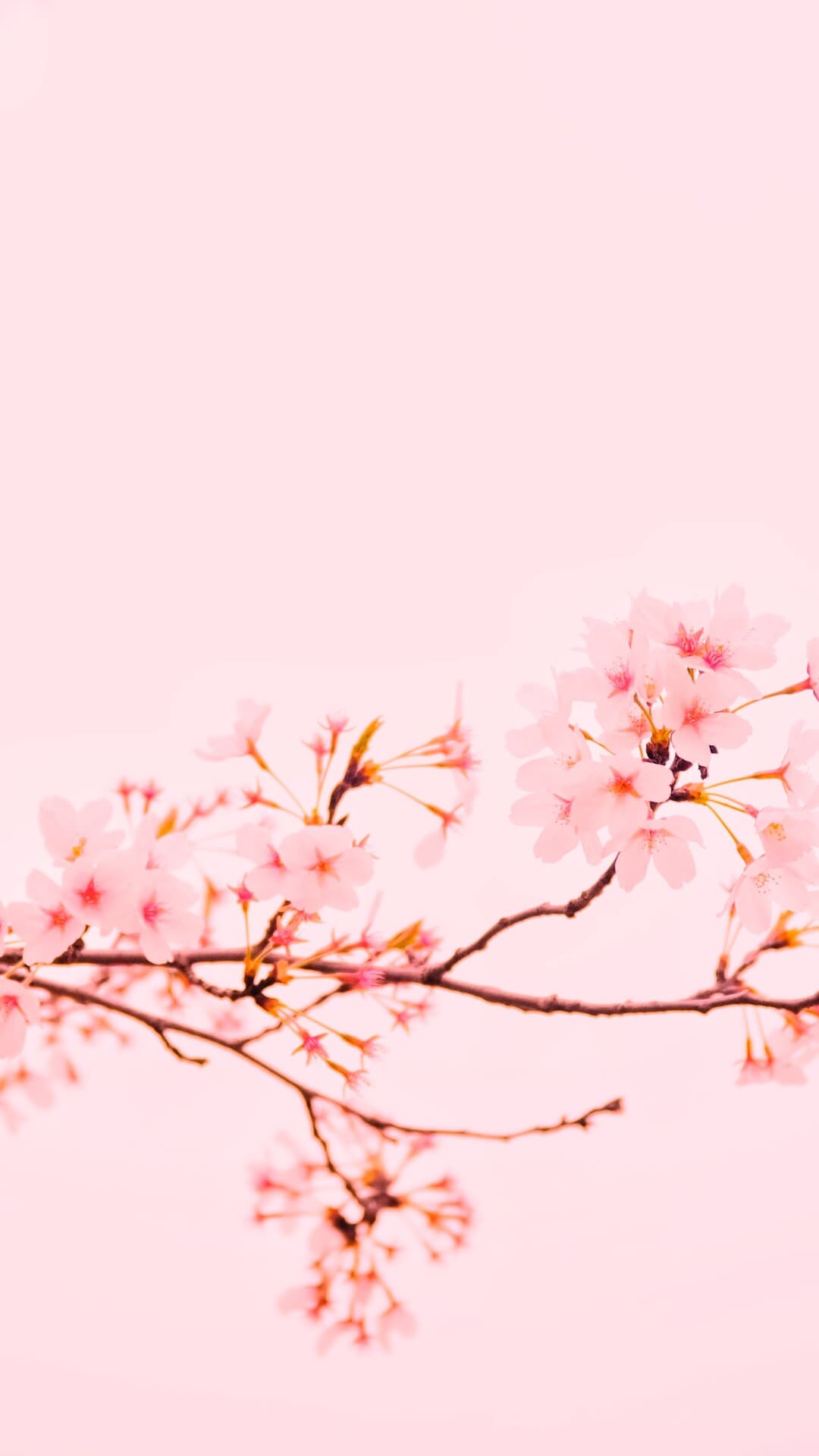 Aesthetic Wallpaper #122