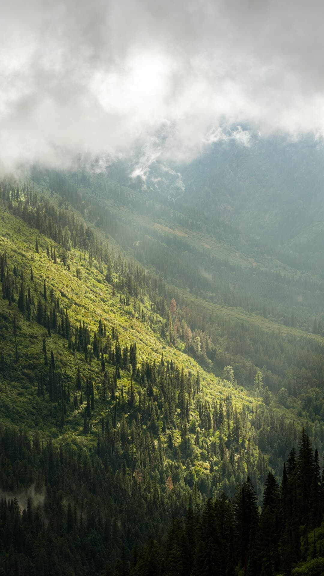 Aesthetic Wallpaper #4740