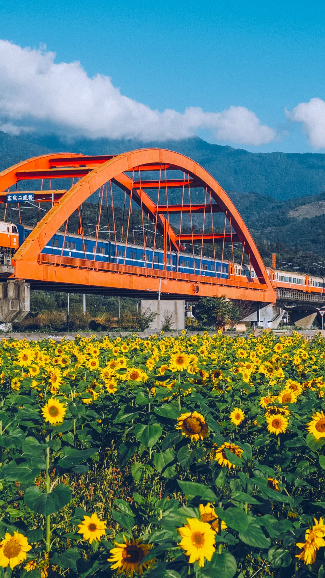 Aesthetic Wallpaper #1314