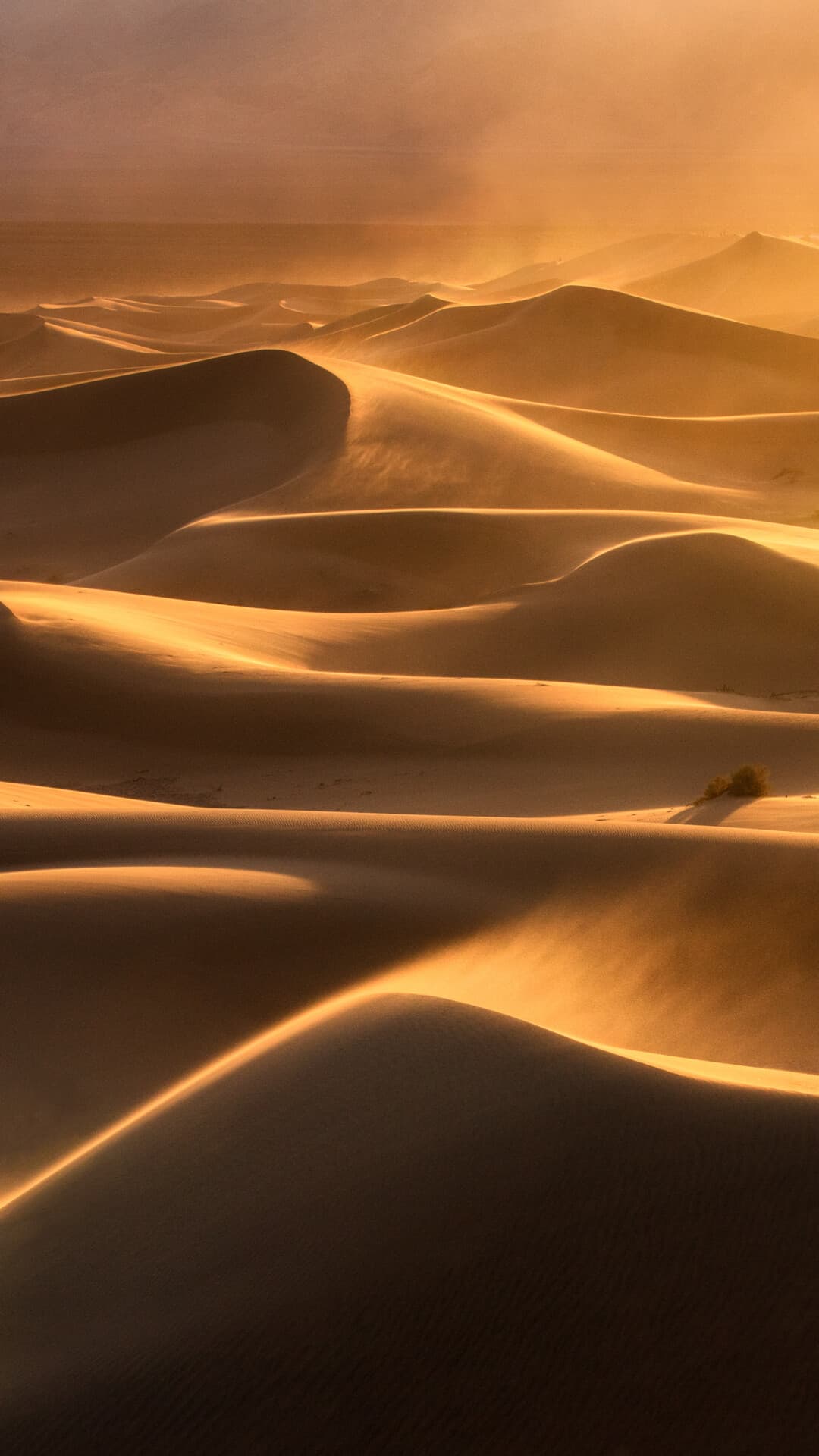 Aesthetic Wallpaper #3592