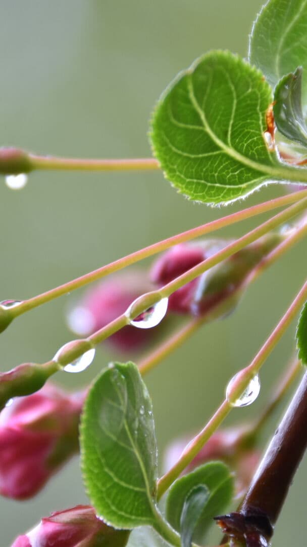 Aesthetic Wallpaper #391