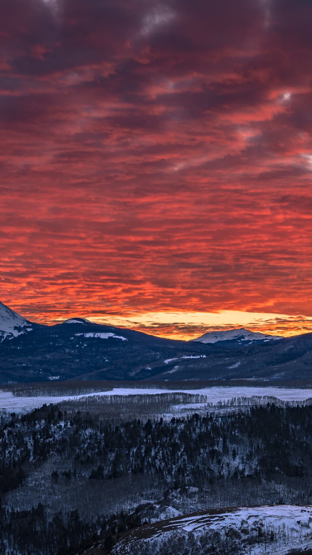 Aesthetic Wallpaper #4440