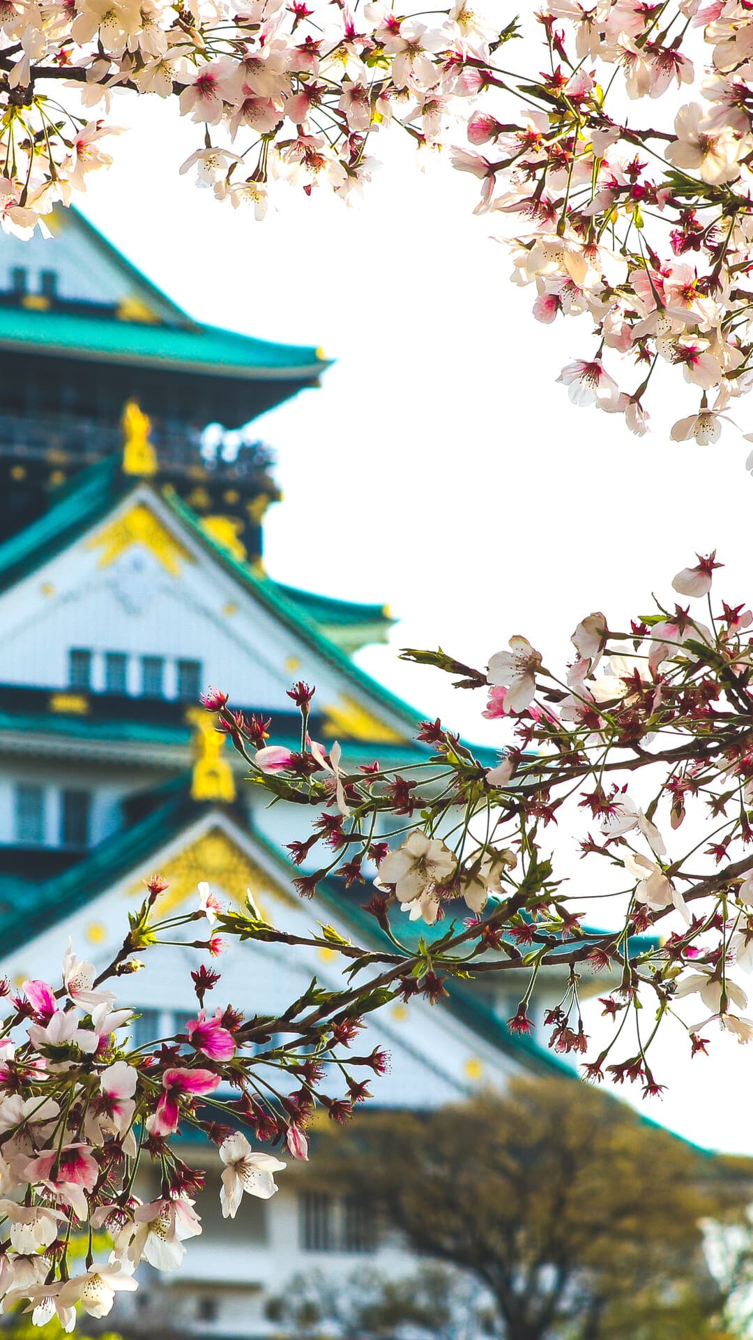 Aesthetic Wallpaper #1533