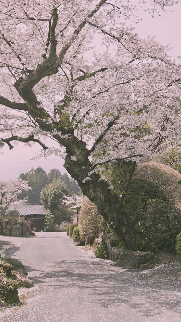 Aesthetic Wallpaper #5350