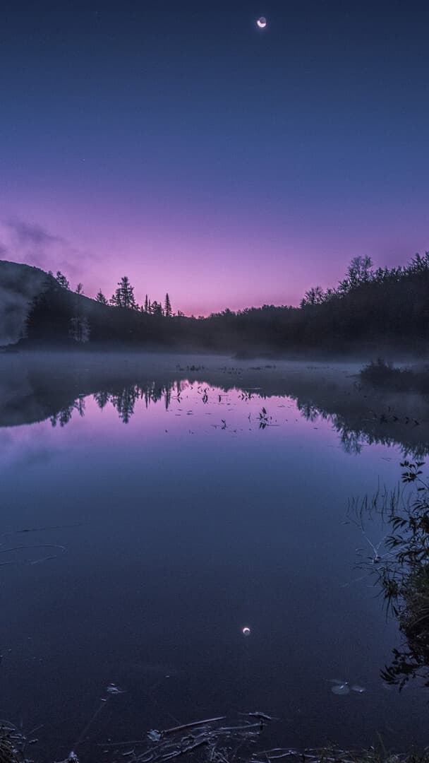 Aesthetic Wallpaper #1197