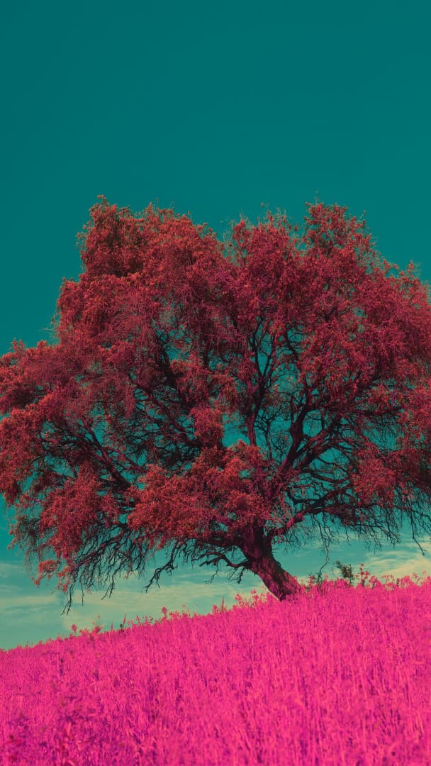 Aesthetic Wallpaper #1088