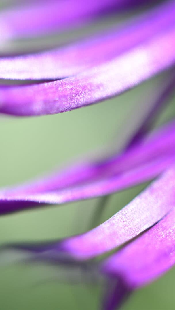 Aesthetic Wallpaper #656