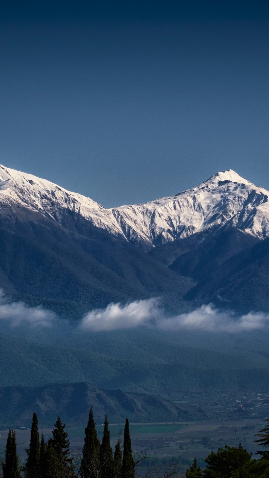 Aesthetic Wallpaper #3362