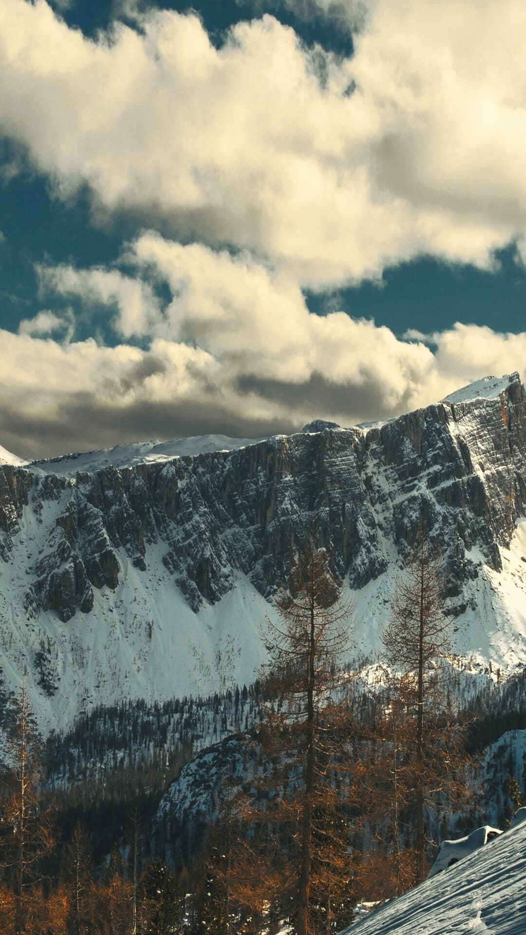 Aesthetic Wallpaper #216