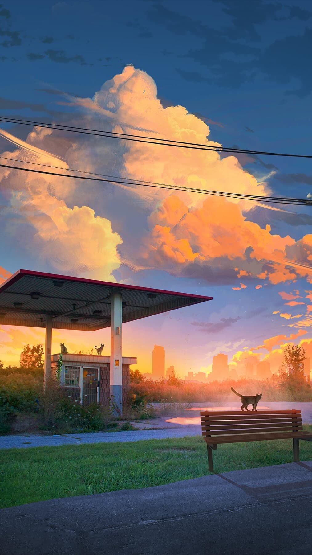 Aesthetic Wallpaper #5263