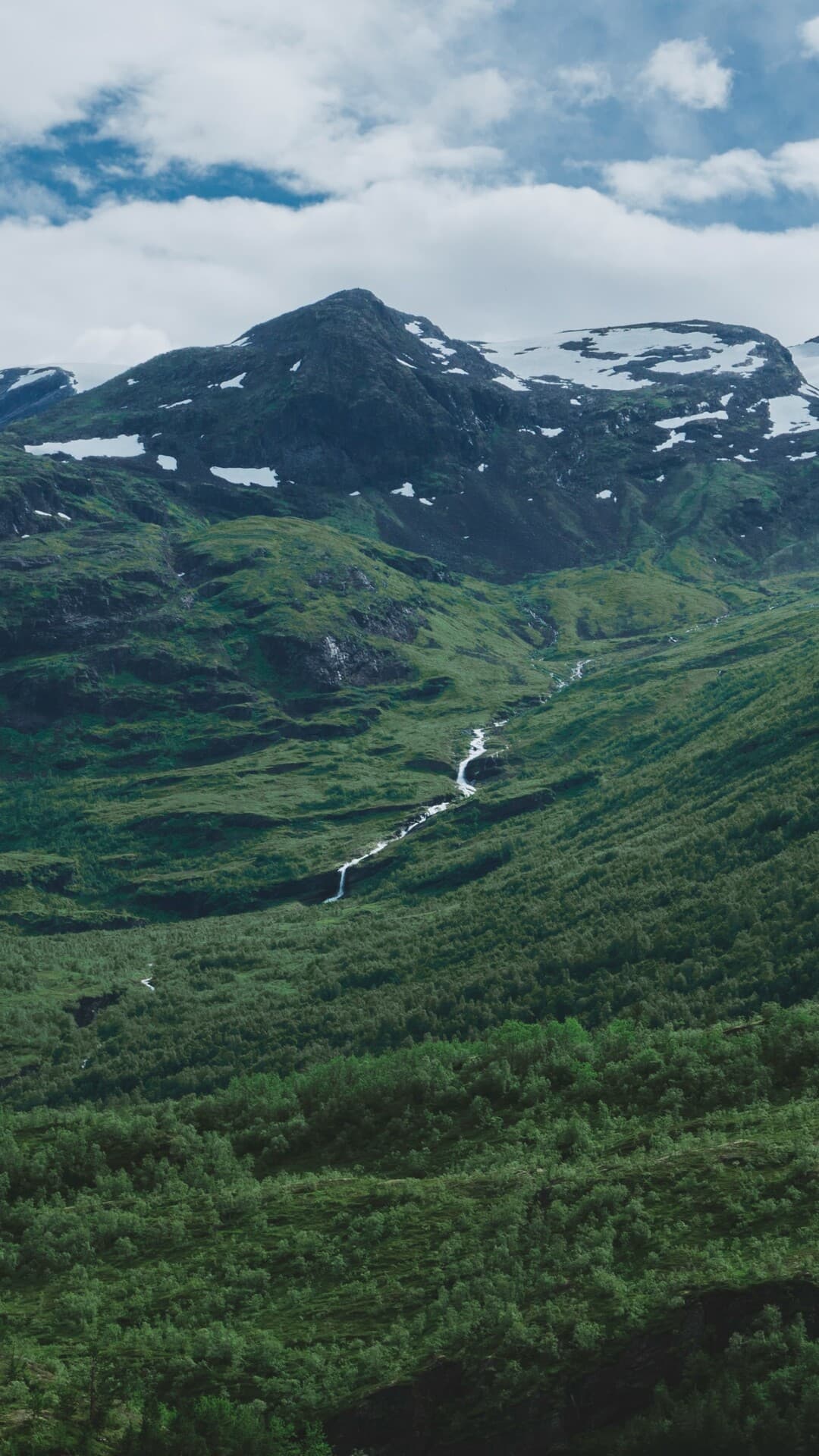 Aesthetic Wallpaper #731