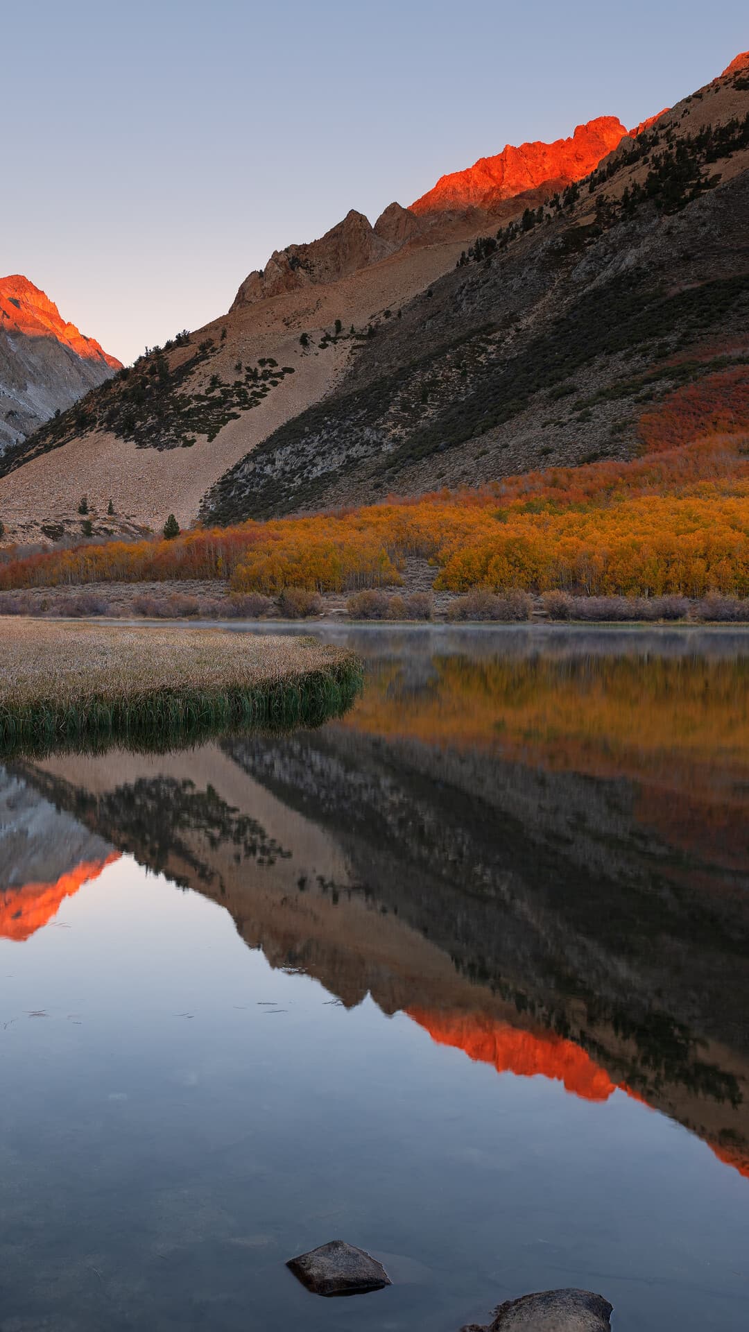 Aesthetic Wallpaper #2737