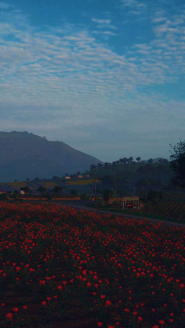 Aesthetic Wallpaper #4449