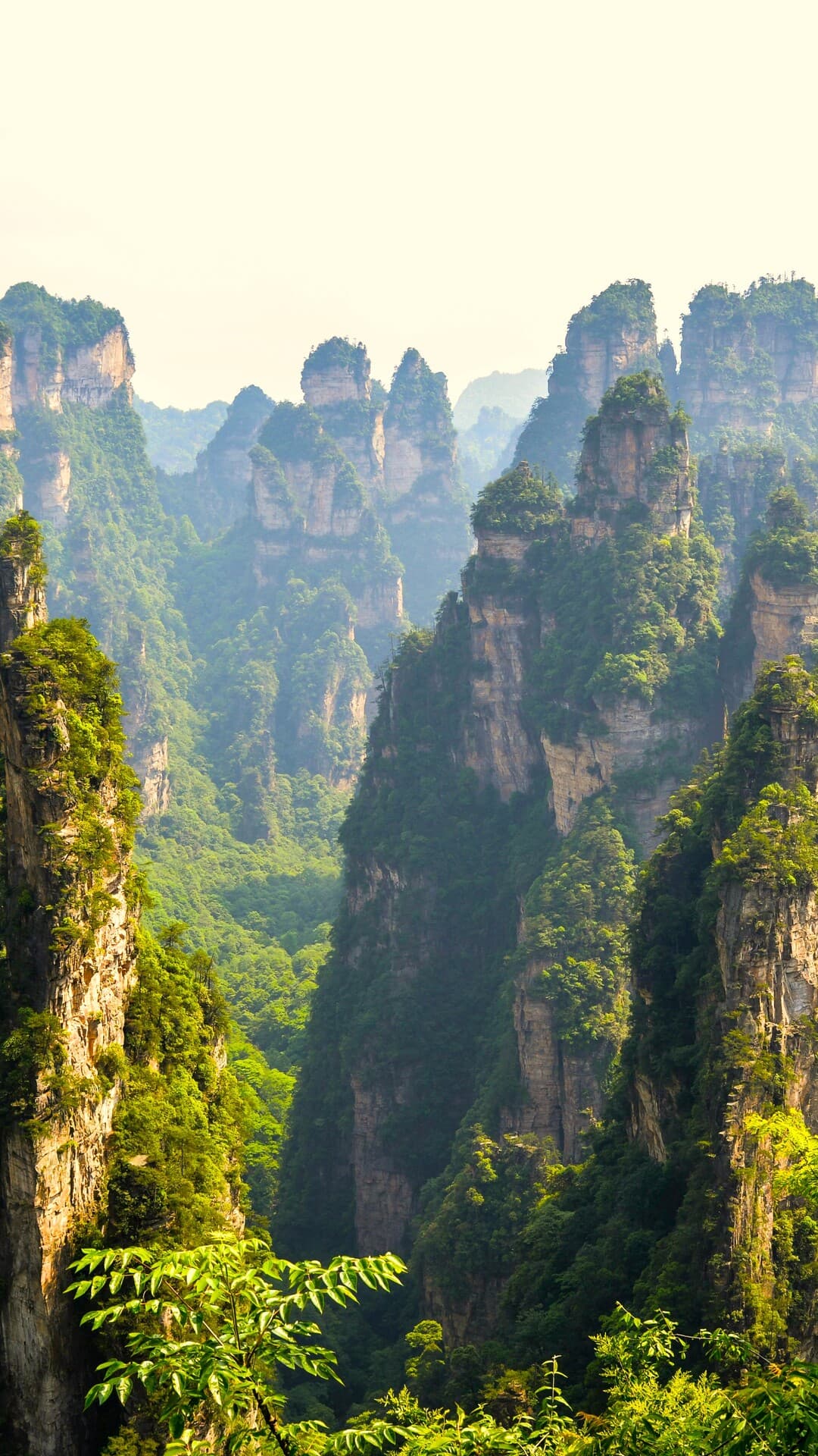 Aesthetic Wallpaper #2169