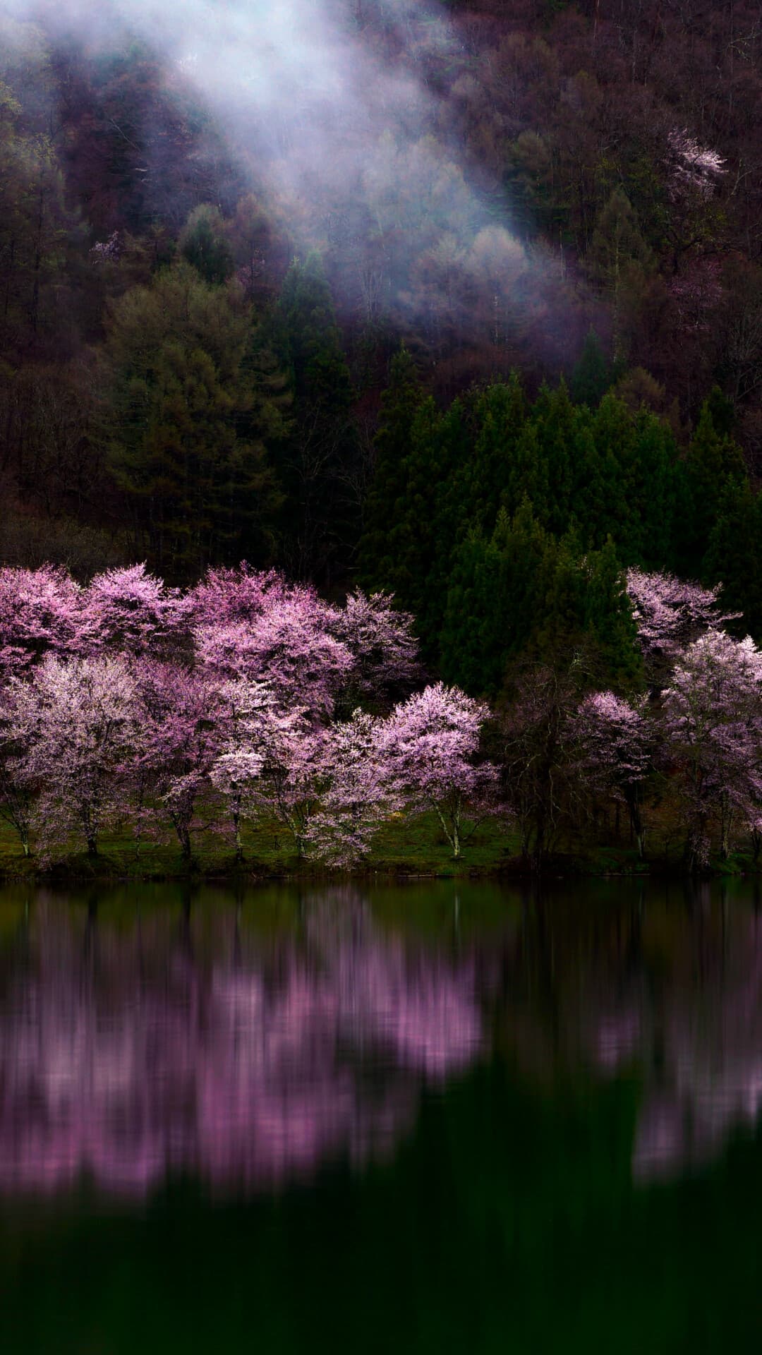 Aesthetic Wallpaper #3551