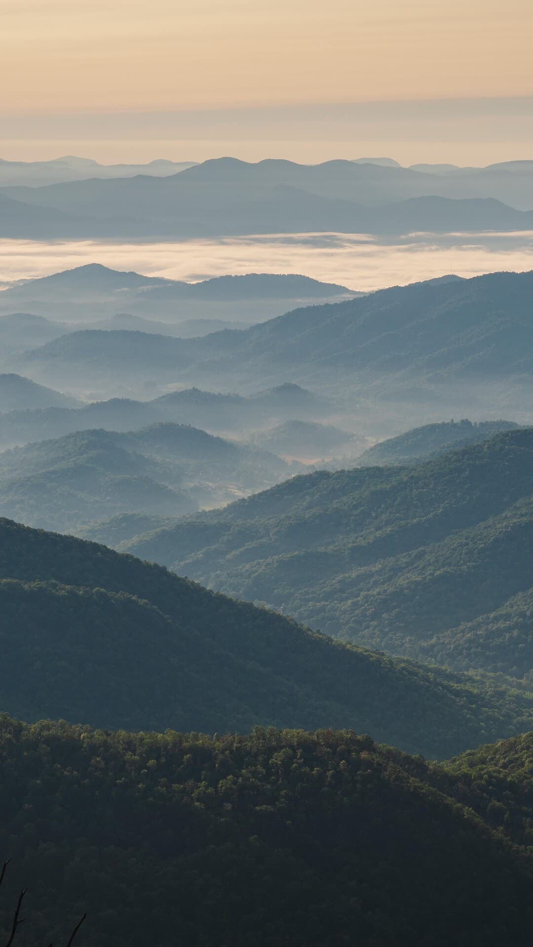 Aesthetic Wallpaper #357