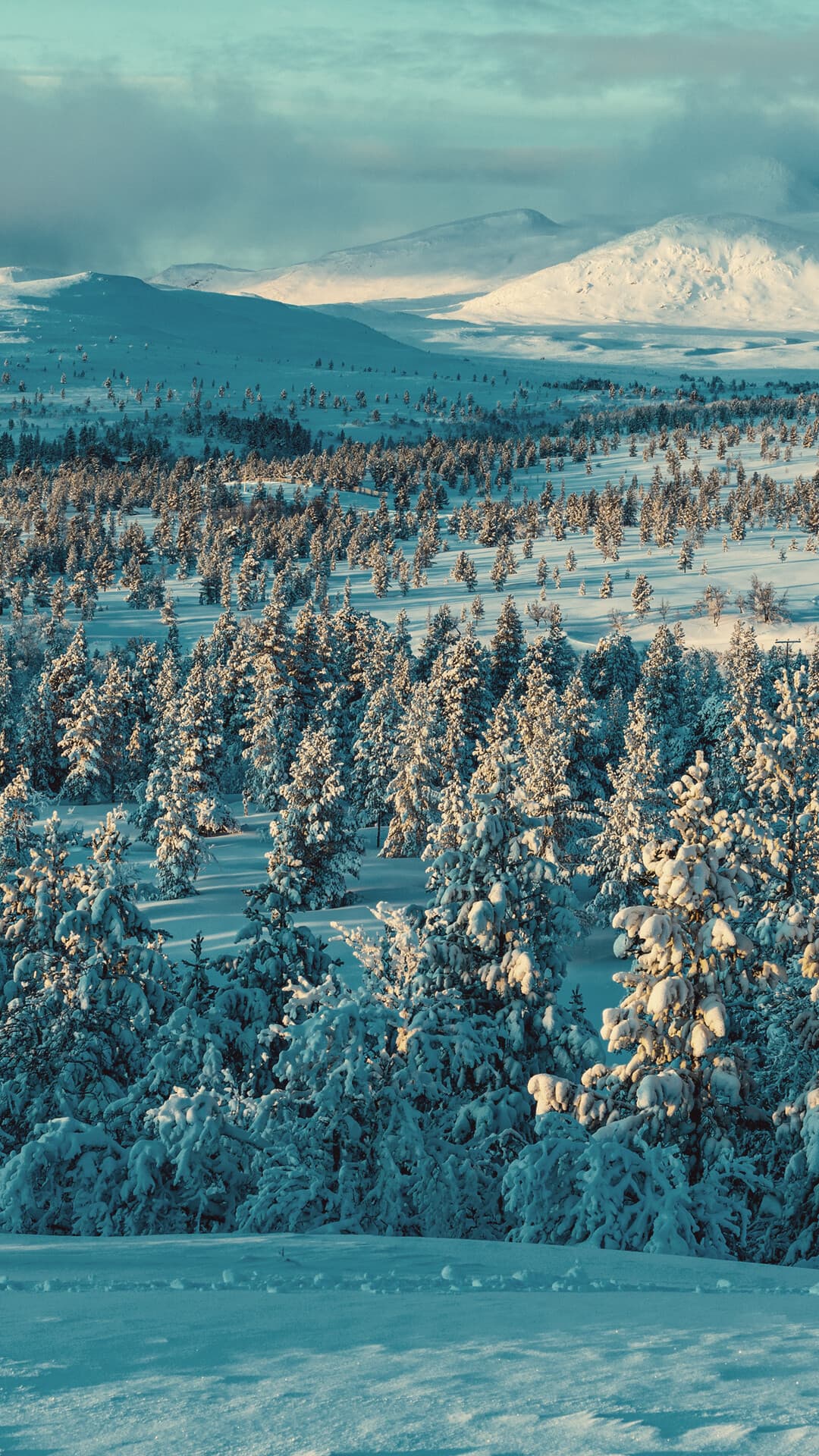 Aesthetic Wallpaper #4621