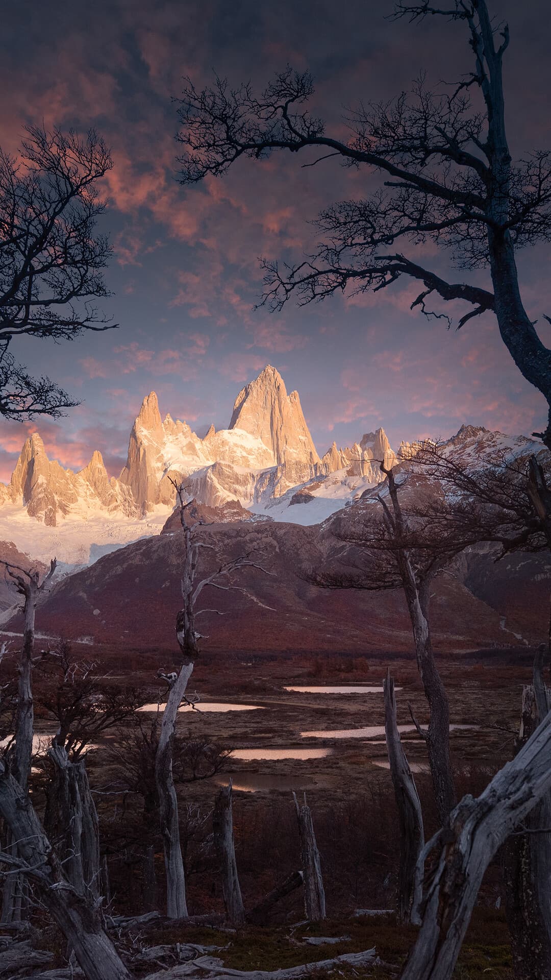 Aesthetic Wallpaper #710