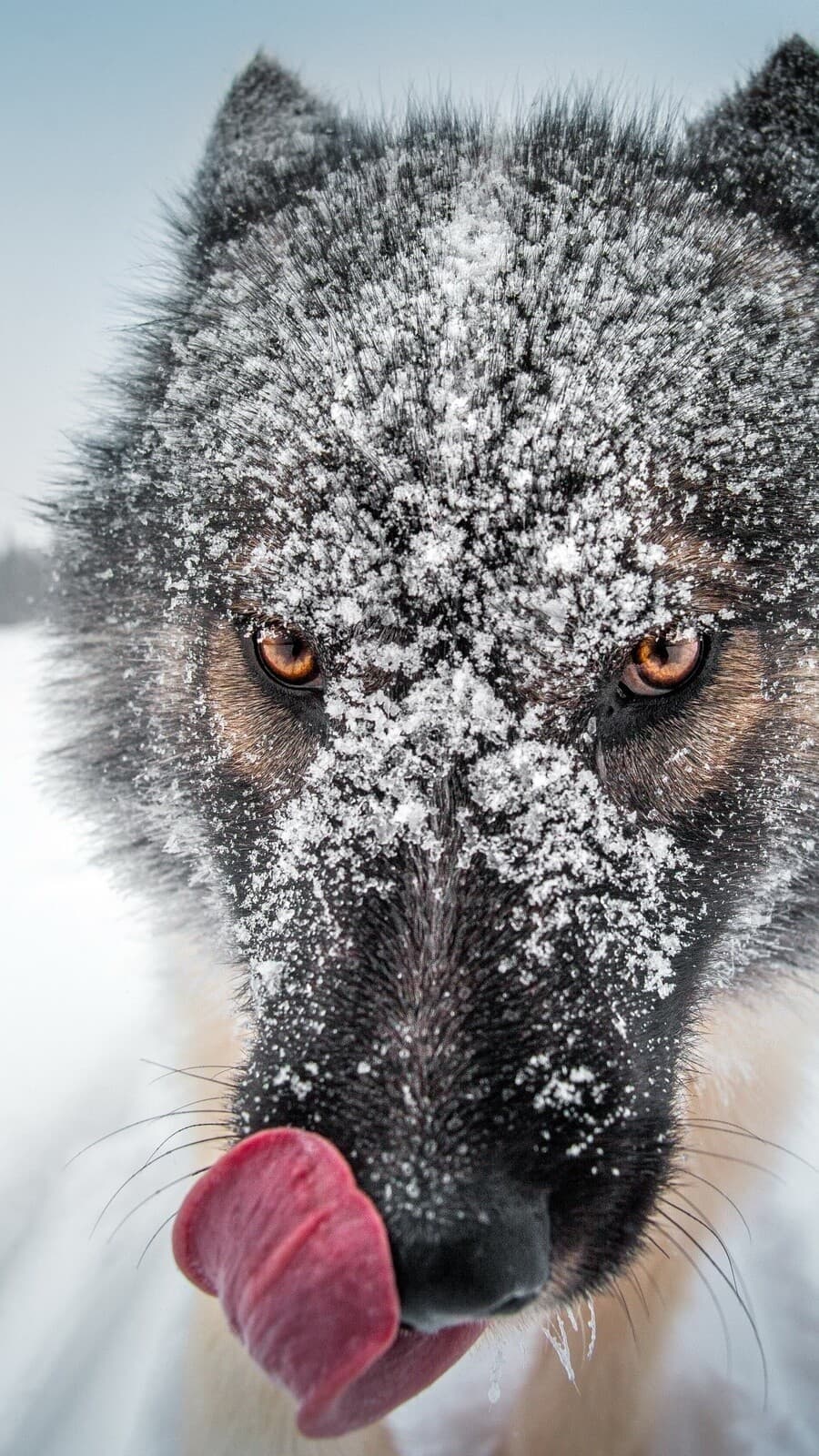 Aesthetic Wallpaper #308