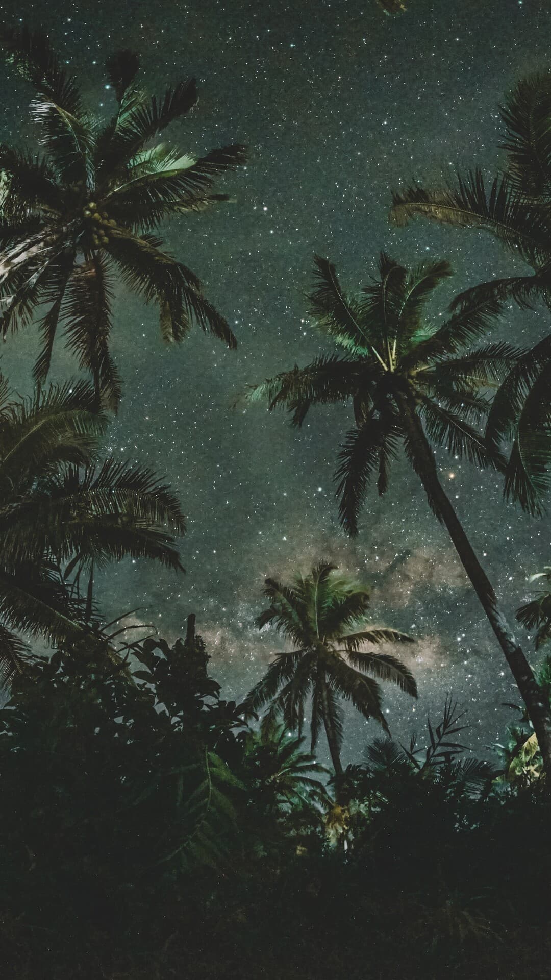 Aesthetic Wallpaper #987