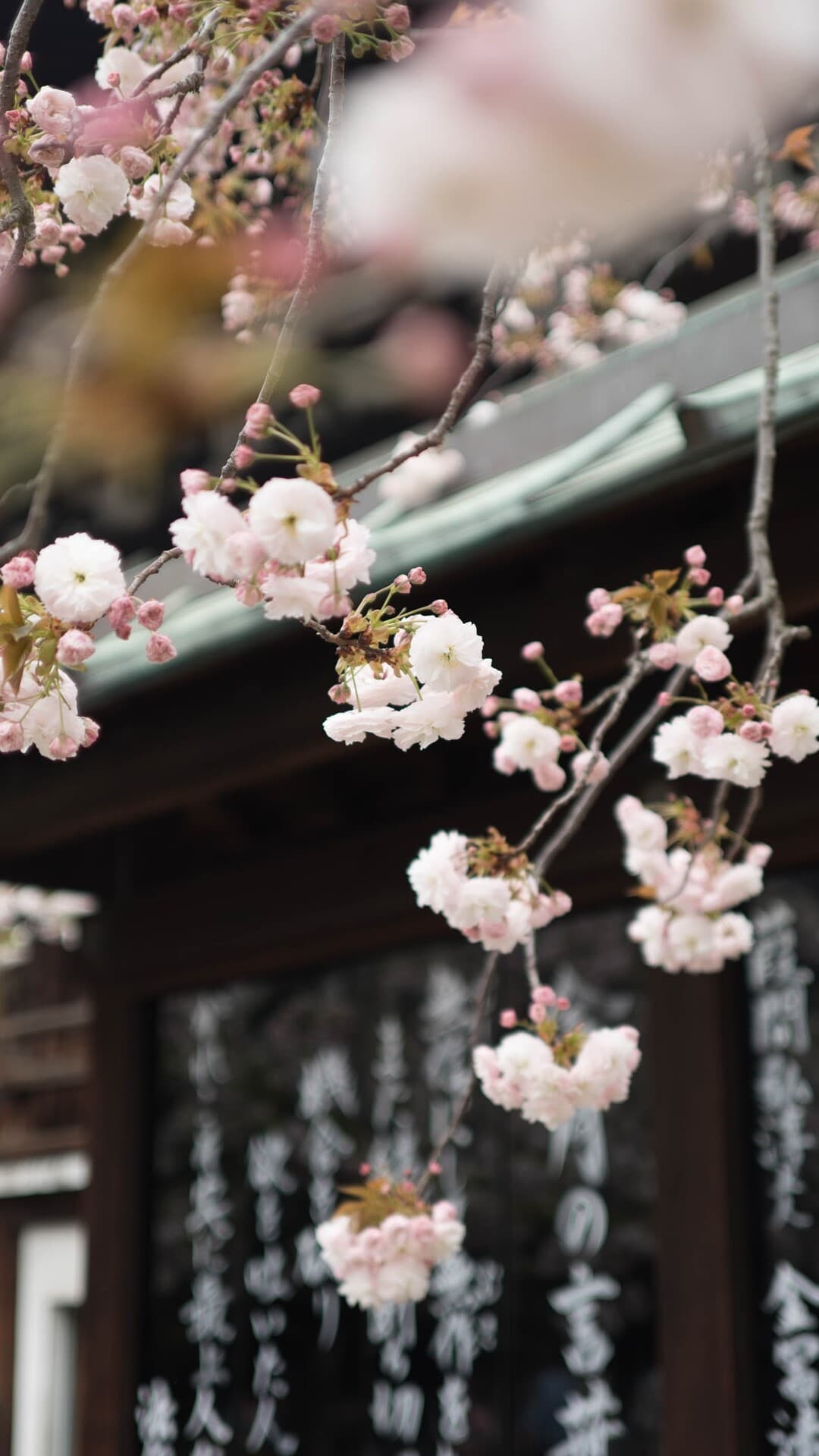 Aesthetic Wallpaper #5139