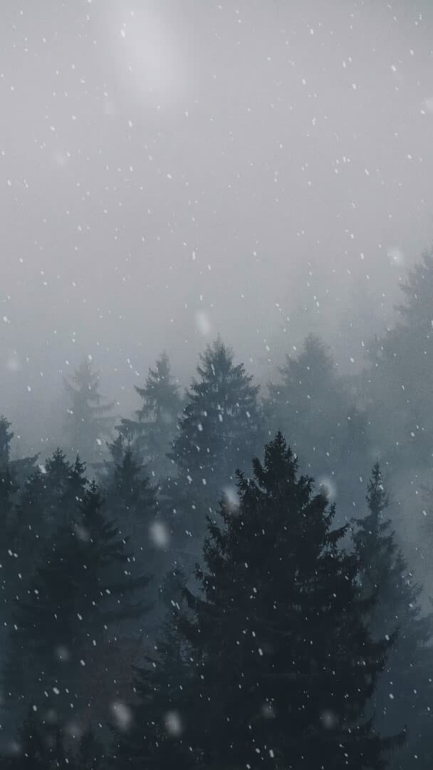 Aesthetic Wallpaper #663